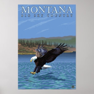 Montana -- Stor himmelCountryDiving örn Poster