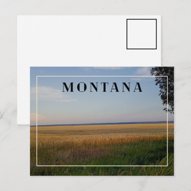 Montana vetesolnedgång vykort (Fram/baksida)