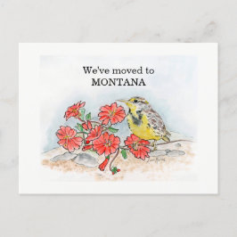 Montana Vykort