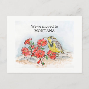 Montana Vykort