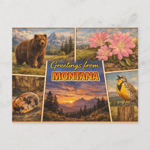 Montana vykort