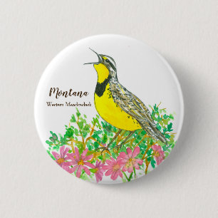 Montana Western Meadowlark State Bird Knapp