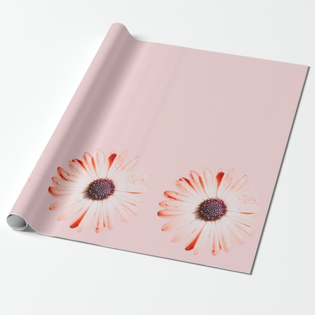 Montana Wildblommor i Rosa Presentpapper (Utrullad)