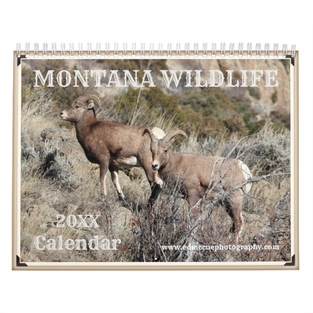 Montana Wildlife Kalender (Omslag)