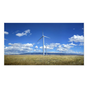 Montana Windmills Fototryck