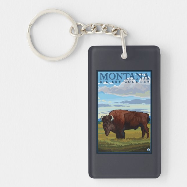 MontanaBison vintage resoraffisch (Framsidan)