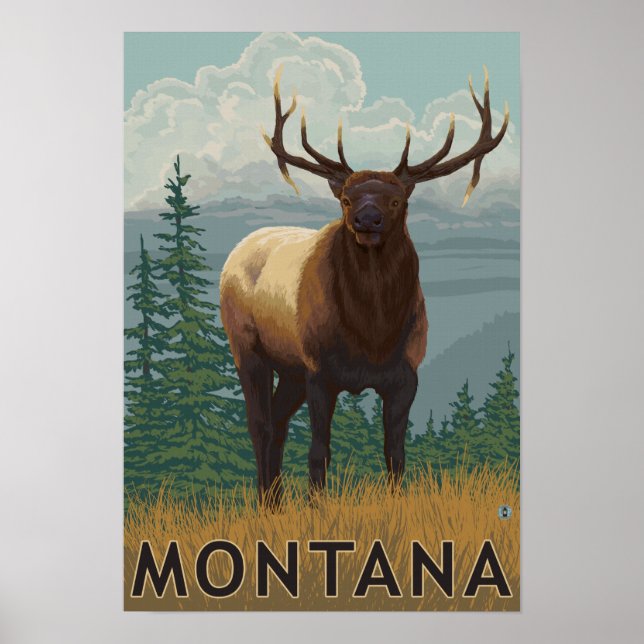 MontanaElk Scene Poster (Framsidan)