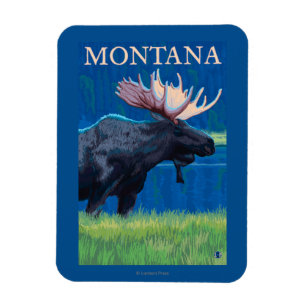 MontanaMoose vintage resoraffisch Magnet