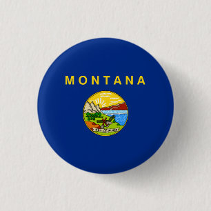 Montanan Flagga, Flagga Montana Knapp