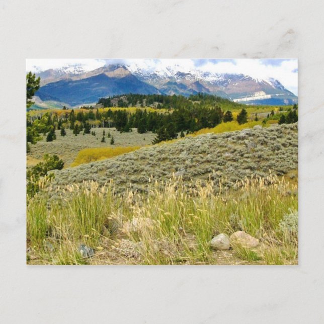 Montanas vykort (Framsida)