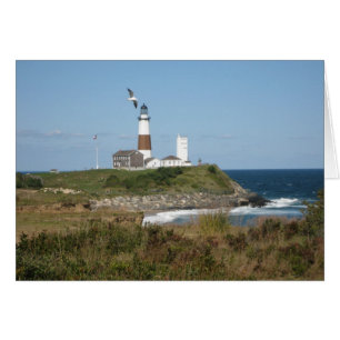 MONTAUK Lighthouse Fiskmås Kärlek Hälsningskort