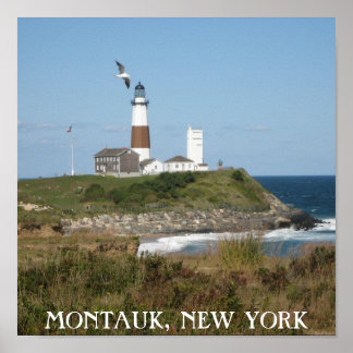 Montauk Lighthouse Fiskmås Kärlek Poster