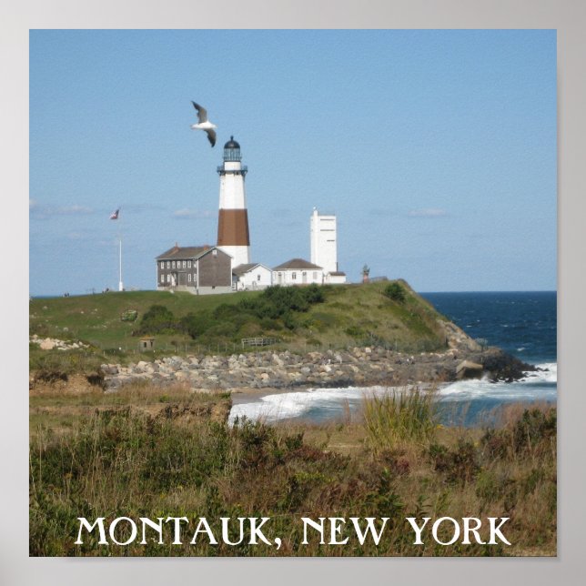 Montauk Lighthouse Fiskmås Kärlek Poster (Framsidan)