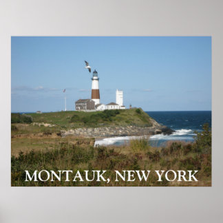 MONTAUK Lighthouse Fiskmås Kärlek Poster