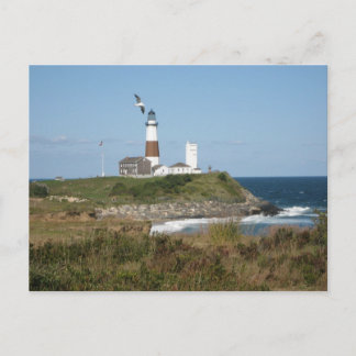 MONTAUK Lighthouse Fiskmås Kärlek Vykort