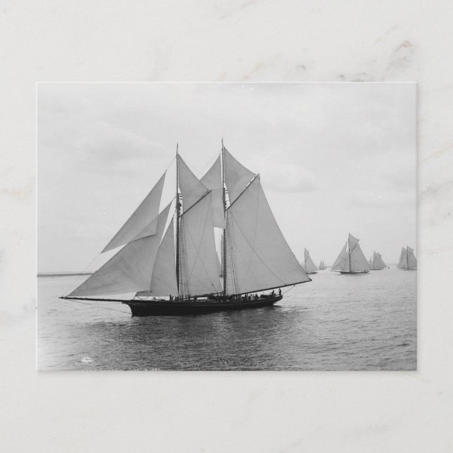 Montauk Sailboat (juni 19.1897) Vykort (Framsida)