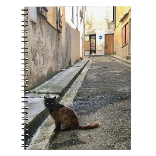 Montauk Salvage Co. / Fransk Cat Anteckningsbok (Framsidan)