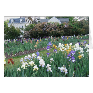 Montclair Irises OBS Kort