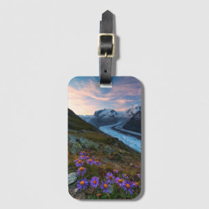 Monte Rosa glaciär Schweitz Bagagebricka