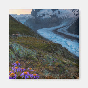 Monte Rosa glaciär Schweitz Magnet