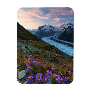 Monte Rosa glaciär Schweitz Magnet