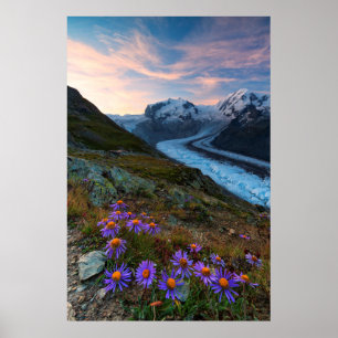 Monte Rosa glaciär Schweitz Poster