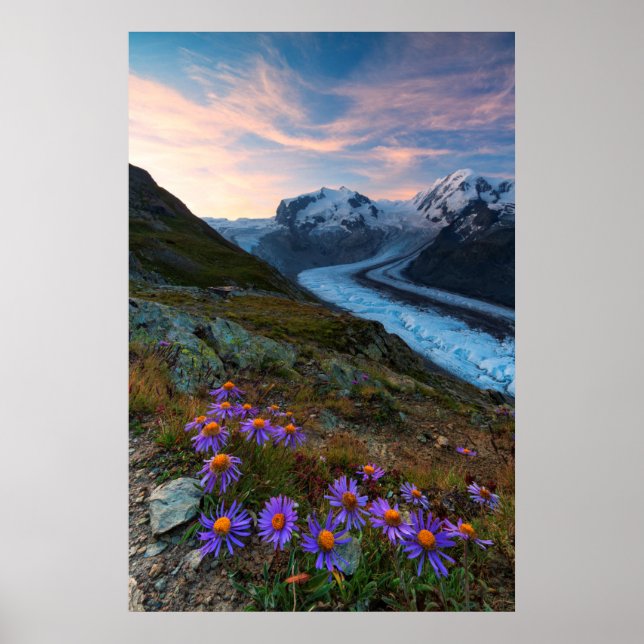 Monte Rosa Glacier | Schweiz Poster (Framsidan)