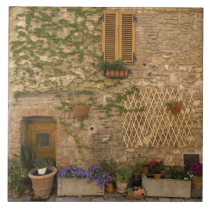 Montefollonico, Val d'Orcia, Siena provins, Kakelplatta
