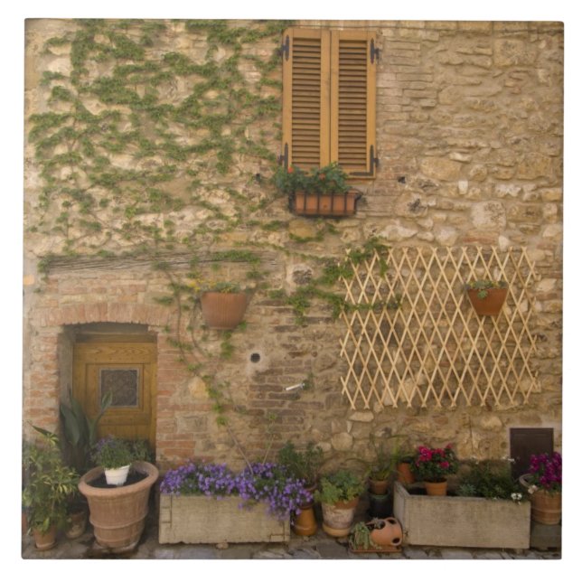 Montefollonico, Val d'Orcia, Siena provins, Kakelplatta (Framsidan)