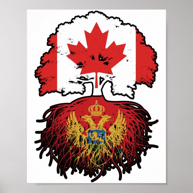 Montenegro Montenegro Canadian Canada Träd Roots Poster (Framsidan)