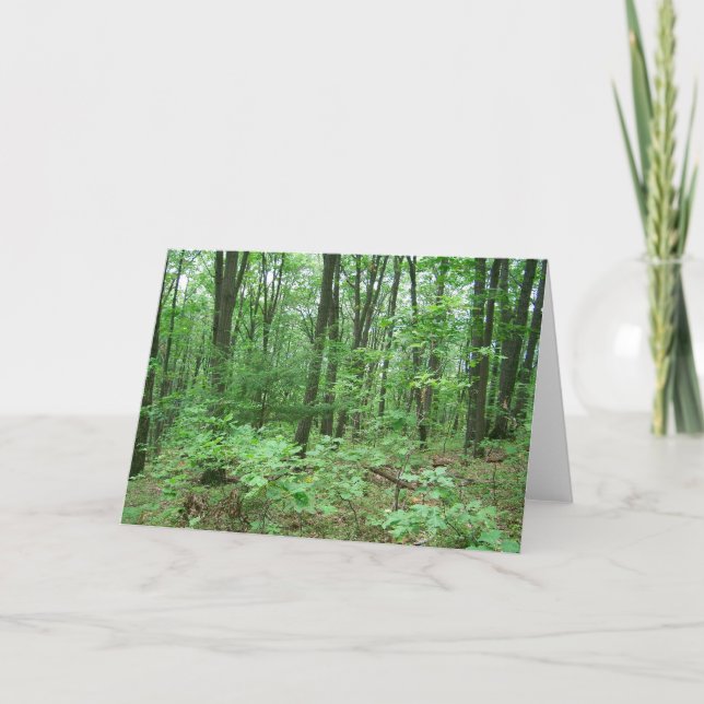 Montera anteckningskort för Nittany (Framsida)