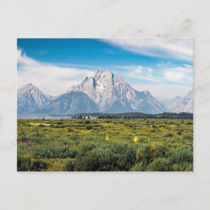 Montera Moran i nationalparken Grand Teton Vykort