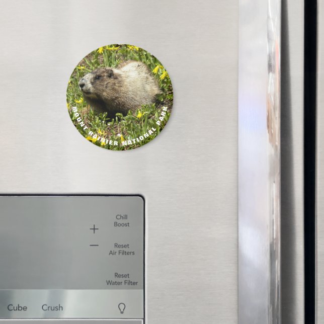 Montera Rainier nationalpark Marmot Photo Magnet (In Situ (Fridge))