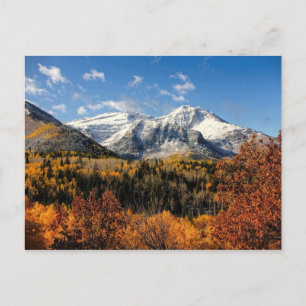 Montera Timpanogos i höstbergen Utah Vykort