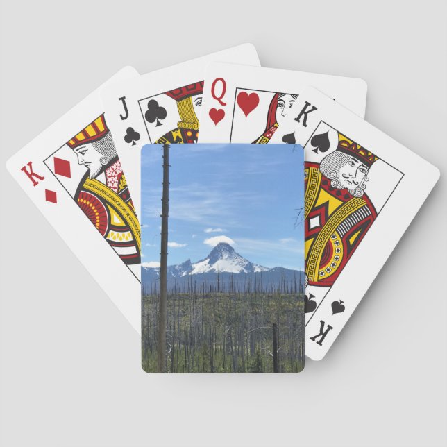 Montera Washington, ELLER Casinokort (Baksidan)