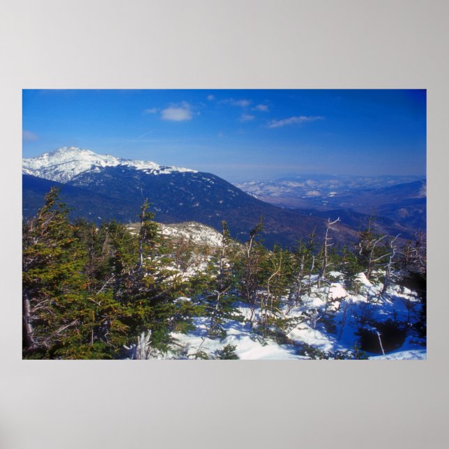Montera Washington Winter Treeline-vy Poster (Framsidan)