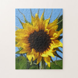 Monterade pussel för solros robustt