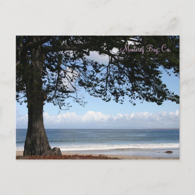 Monterey Bay, Ca-vykort Vykort (Framsida)