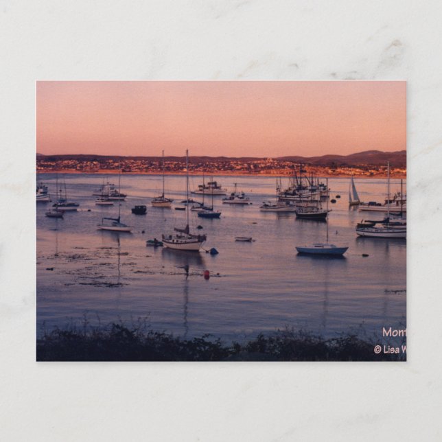 Monterey Bay California 1985 Vykort (Framsida)