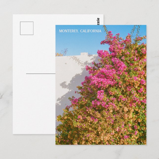 Monterey Bay Kalifornien | Filmfoto | Pararf Vykort (Fram/baksida)