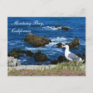 Monterey Bay, Kaliforniens vykort