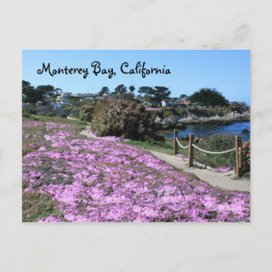 Monterey Bay, Kaliforniens vykort