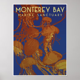 Monterey Bay Marine Sanctuary; maneter Poster