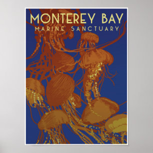Monterey Bay Marine Sanctuary. maneter Poster