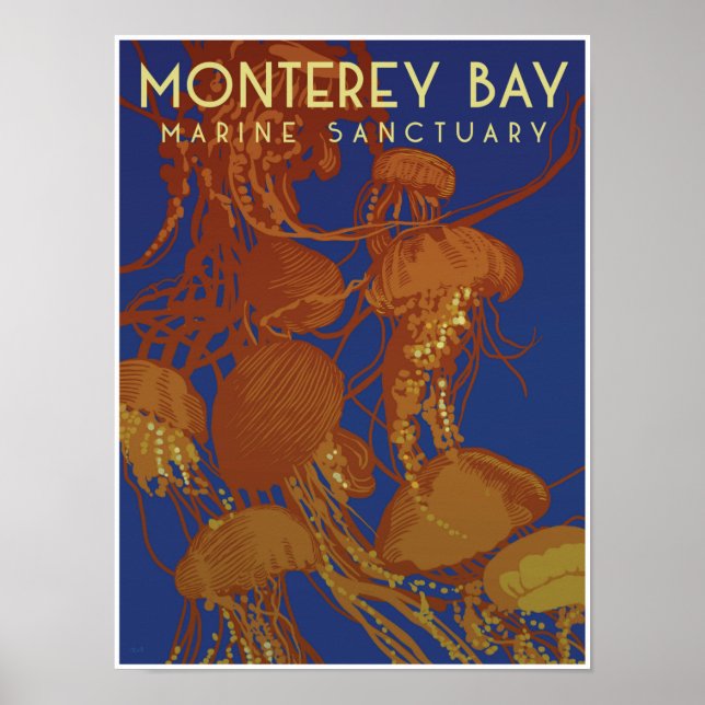 Monterey Bay Marine Sanctuary; maneter Poster (Framsidan)