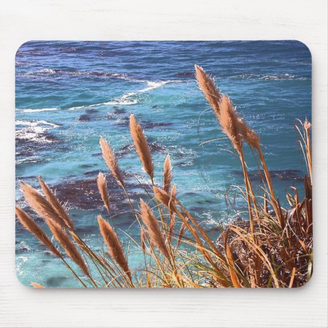 Monterey Bay Mouse Pad Musmatta (Framsidan)