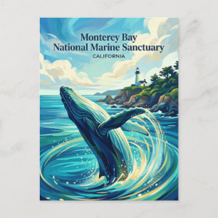 Monterey Bay National Marine Sanctuary USA Vykort