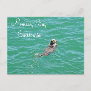 Monterey Bay Sea Otter-vykort Vykort