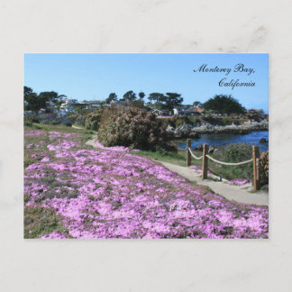 Monterey Bay, Vår vykort