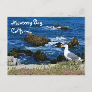 Monterey Bay, vykort